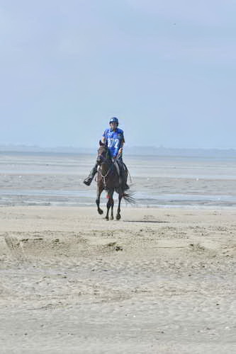 WEG-EnduranceRace-8-28-14-0003626-DDeRosaPhoto