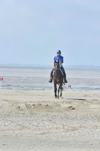 WEG-EnduranceRace-8-28-14-0003631-DDeRosaPhoto