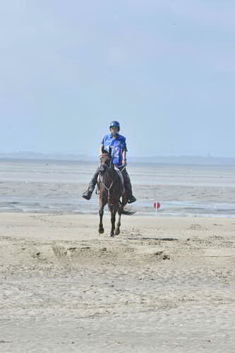 WEG-EnduranceRace-8-28-14-0003635-DDeRosaPhoto