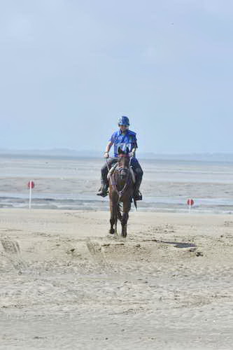 WEG-EnduranceRace-8-28-14-0003641-DDeRosaPhoto
