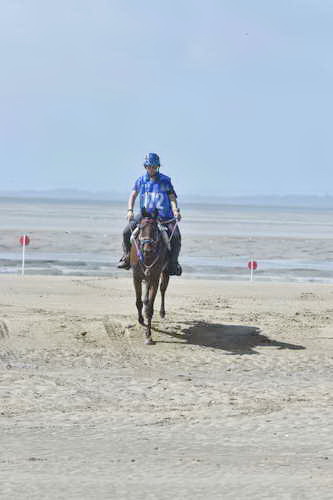 WEG-EnduranceRace-8-28-14-0003642-DDeRosaPhoto