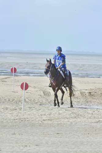 WEG-EnduranceRace-8-28-14-0003648-DDeRosaPhoto