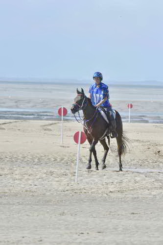 WEG-EnduranceRace-8-28-14-0003650-DDeRosaPhoto