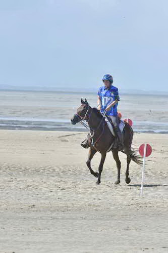 WEG-EnduranceRace-8-28-14-0003652-DDeRosaPhoto