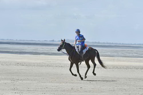 WEG-EnduranceRace-8-28-14-0003661-DDeRosaPhoto