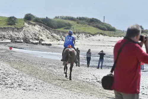 WEG-EnduranceRace-8-28-14-0003709-DDeRosaPhoto