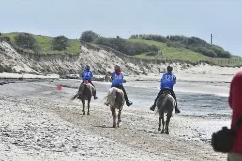 WEG-EnduranceRace-8-28-14-0003715-DDeRosaPhoto