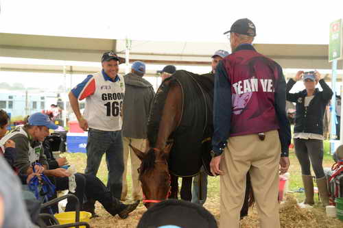 WEG2-Endurance-8-28-14-6753-DDeRosaPhoto