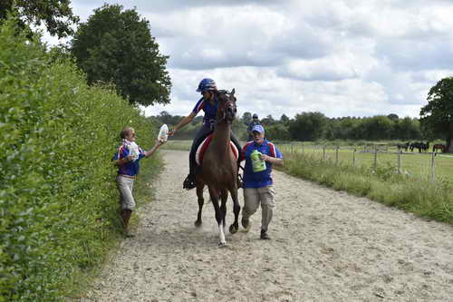 WEG-Endurance-8-24-14-0003642-DDeRosaPhoto
