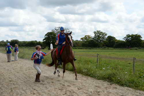 WEG-Endurance-8-24-14-4571-DDeRosaPhoto