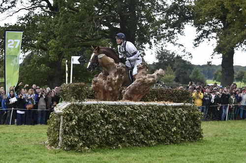 WEG1-Eventing-8-30-14-0008487-WilliamFox-Pitt-ChilliMorning-GBR-DDeRosaPhoto