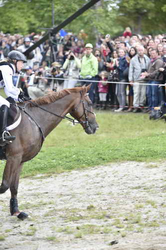 WEG2-Eventing-8-30-14-0000206-SandraAuffarth-OpgunLouvo-GER-DDeRosaPhoto