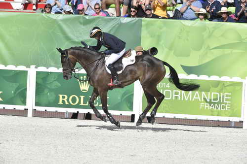 WEG-EventingSJ-8-31-14-0002851-MichaelJung-FischerrocanaFST-GER-DDeRosaPhoto