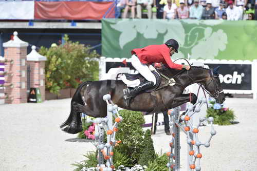 WEG-EventingSJ-8-31-14-0002706-BoydMartin-Shamwari4-USA-DDeRosaPhoto