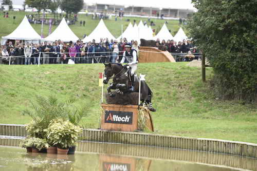 WEG1-Eventing-8-30-14-0009570-BoydMartin-Shamwari4-USA-DDeRosaPhoto