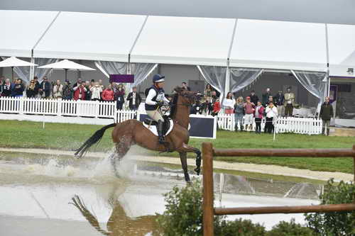 WEG1-Eventing-8-30-14-0007010-BuckDavidsonJr-BallynoeCastleRM-USA-osaPhoto