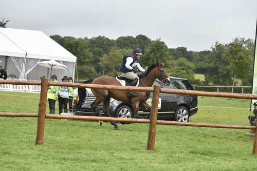 WEG1-Eventing-8-30-14-0007020-BuckDavidsonJr-BallynoeCastleRM-USA-osaPhoto