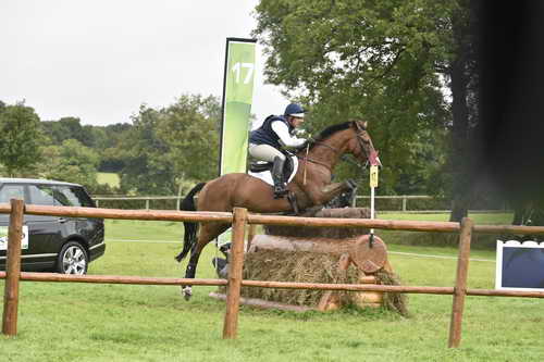 WEG1-Eventing-8-30-14-0007025-BuckDavidsonJr-BallynoeCastleRM-USA-osaPhoto