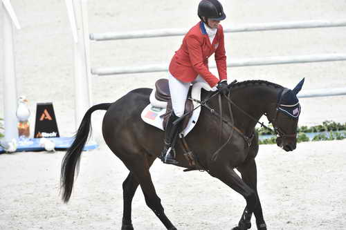 WEG-EventingSJ-8-31-14-0002155-KimberlySeverson-FernhillFearless-USA-DDeRosaPhoto