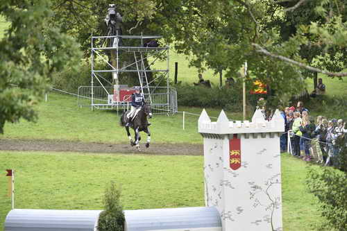 WEG1-Eventing-8-30-14-0008813-KimberlySeverson-FernhillFearless-USA-DDeRosaPhoto