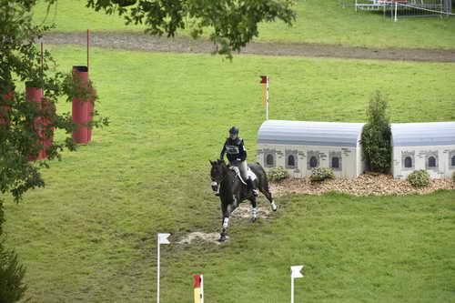 WEG1-Eventing-8-30-14-0008825-KimberlySeverson-FernhillFearless-USA-DDeRosaPhoto