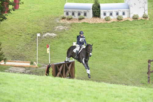 WEG1-Eventing-8-30-14-0008841-KimberlySeverson-FernhillFearless-USA-DDeRosaPhoto
