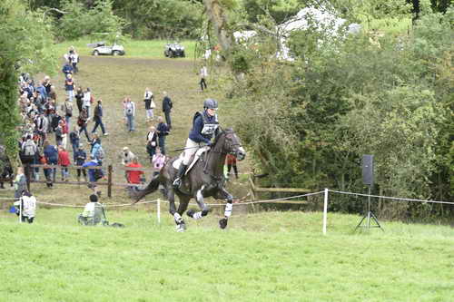 WEG1-Eventing-8-30-14-0008853-KimberlySeverson-FernhillFearless-USA-DDeRosaPhoto