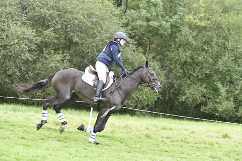 WEG1-Eventing-8-30-14-0008859-KimberlySeverson-FernhillFearless-USA-DDeRosaPhoto