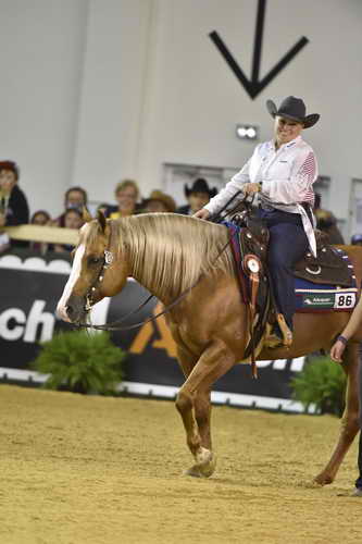 WEG-Reining-8-30-14-0001016-DDeRosaPhoto