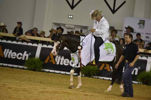 WEG-Reining-8-30-14-0001026-DDeRosaPhoto