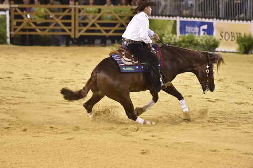 WEG-Reining-8-30-14-0000817-AndreaFappani-CustomCashAdvance-USA-DDeRosaPhoto