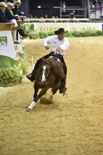 WEG-Reining-8-30-14-0000861-AndreaFappani-CustomCashAdvance-USA-DDeRosaPhoto