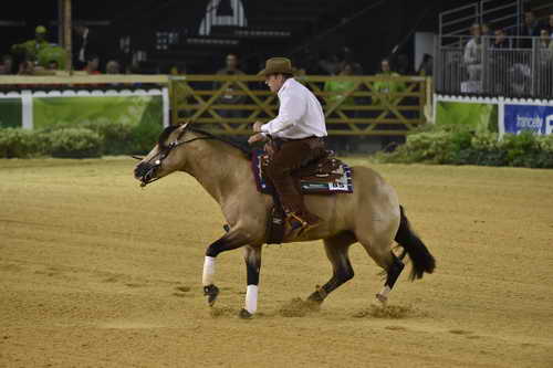 WEG-Reining-8-30-14-0000522-JordanLarson-HFMobster-USA-DDeRosaPhoto