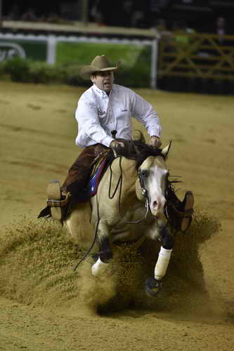 WEG-Reining-8-30-14-0000573-JordanLarson-HFMobster-USA-DDeRosaPhoto