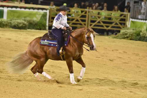 WEG-Reining-8-30-14-0000655-MandyMcCutcheon-YellowJersey-USA-DDeRosaPhoto