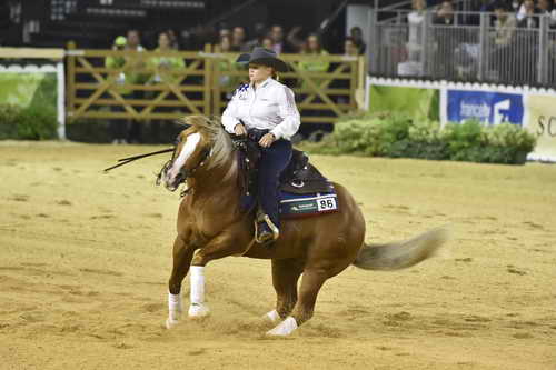 WEG-Reining-8-30-14-0000664-MandyMcCutcheon-YellowJersey-USA-DDeRosaPhoto