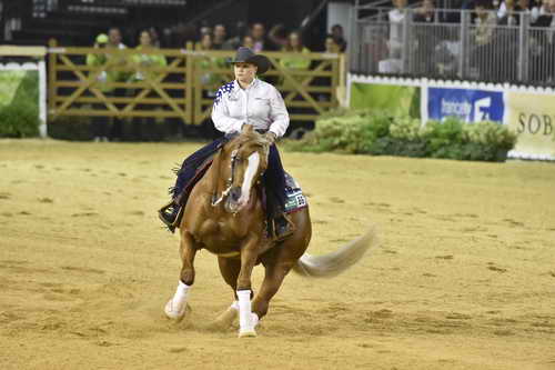 WEG-Reining-8-30-14-0000665-MandyMcCutcheon-YellowJersey-USA-DDeRosaPhoto