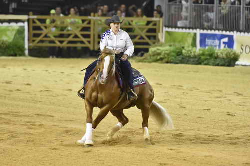 WEG-Reining-8-30-14-0000668-MandyMcCutcheon-YellowJersey-USA-DDeRosaPhoto
