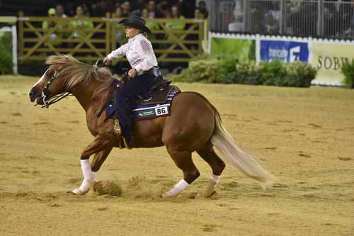 WEG-Reining-8-30-14-0000671-MandyMcCutcheon-YellowJersey-USA-DDeRosaPhoto