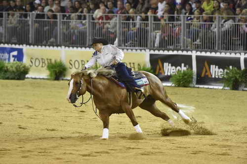 WEG-Reining-8-30-14-0000675-MandyMcCutcheon-YellowJersey-USA-DDeRosaPhoto