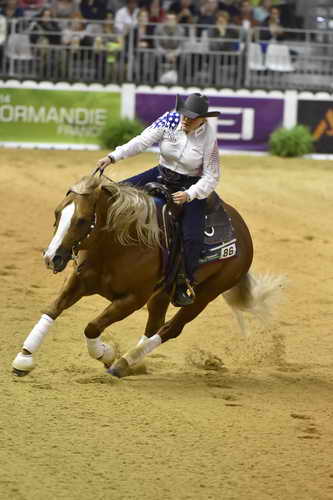 WEG-Reining-8-30-14-0000692-MandyMcCutcheon-YellowJersey-USA-DDeRosaPhoto