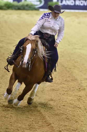 WEG-Reining-8-30-14-0000693-MandyMcCutcheon-YellowJersey-USA-DDeRosaPhoto