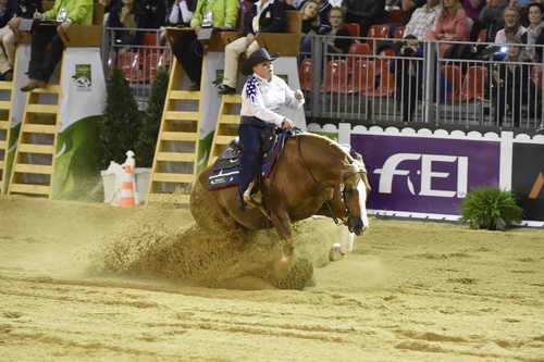 WEG-Reining-8-30-14-0000718-MandyMcCutcheon-YellowJersey-USA-DDeRosaPhoto