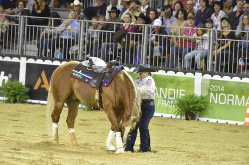 WEG-Reining-8-30-14-0000730-MandyMcCutcheon-YellowJersey-USA-DDeRosaPhoto