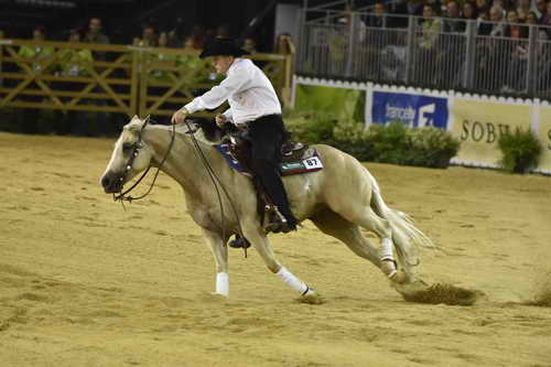 WEG-Reining-8-30-14-0000472-TomMcCutcheon-DunGetANicadual-USA-DDeRosaPhoto