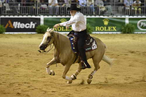 WEG-Reining-8-30-14-0000485-TomMcCutcheon-DunGetANicadual-USA-DDeRosaPhoto