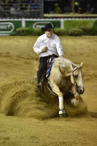 WEG-Reining-8-30-14-0000499-TomMcCutcheon-DunGetANicadual-USA-DDeRosaPhoto