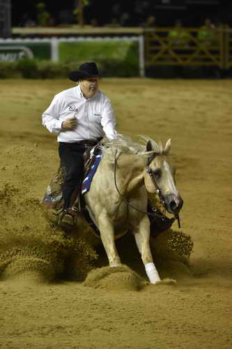 WEG-Reining-8-30-14-0000501-TomMcCutcheon-DunGetANicadual-USA-DDeRosaPhoto