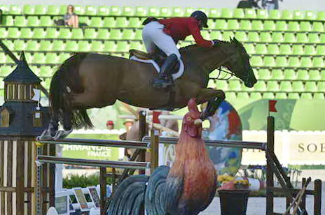 WEG1-SJ-Team1-9-3-14-0007606-McLainWard-Rothchild-USA-DDeRosaPhoto