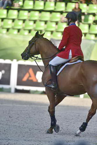 WEG1-SJ-Team1-9-3-14-0007633-McLainWard-Rothchild-USA-DDeRosaPhoto